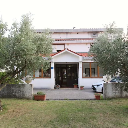 Petrica 3* Jurandvor
