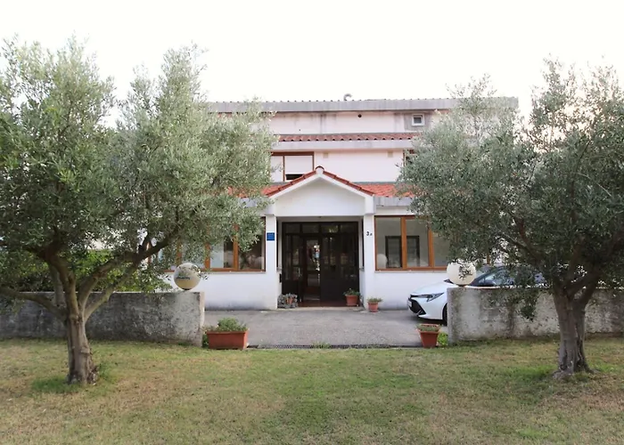 Petrica 3* Jurandvor