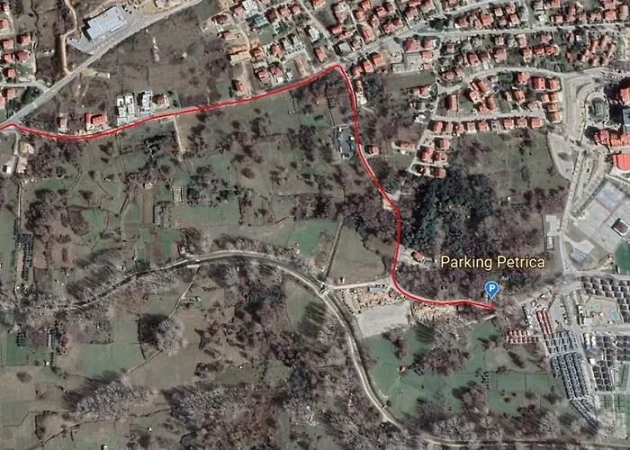Petrica