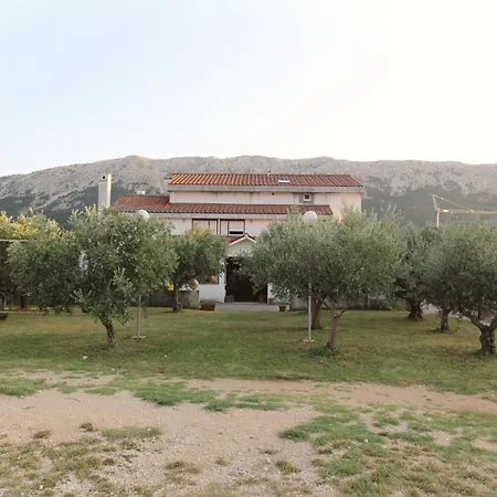 Petrica